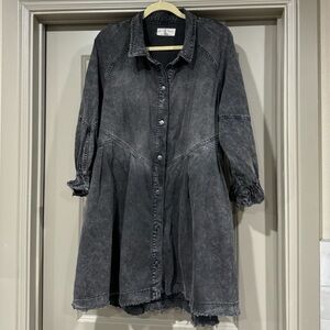 We The Free Denim Dress